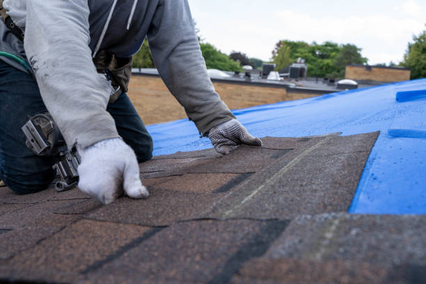 Best Roof Gutter Cleaning  in Oak Creek, WI